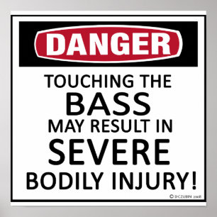 Póster Danger Bass