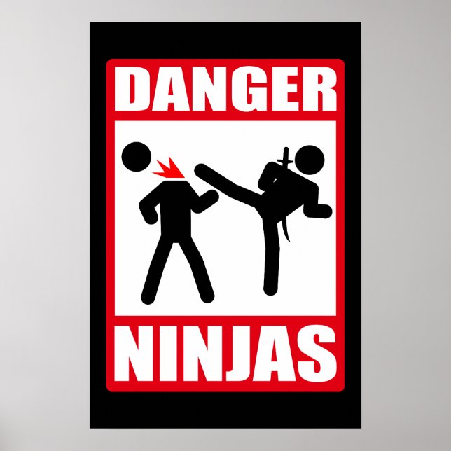 Póster Danger Ninjas (Frente)