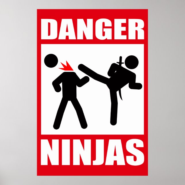 Póster Danger Ninjas (Frente)
