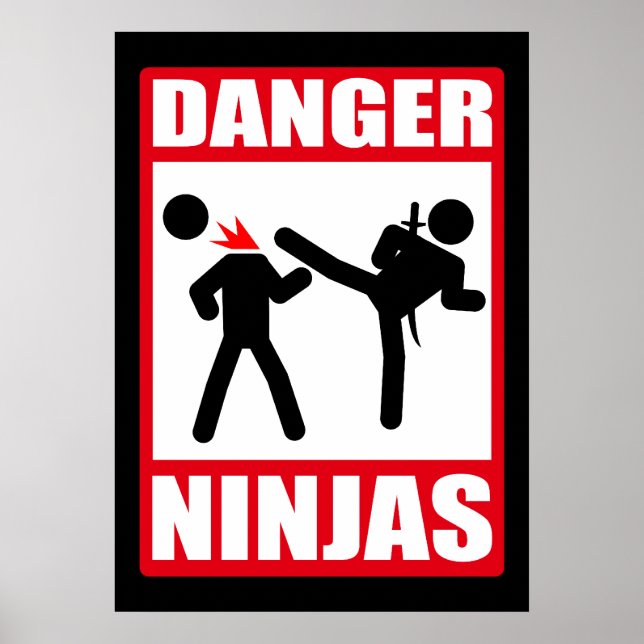 Póster Danger Ninjas (Frente)