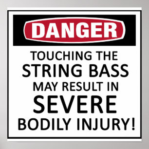 Póster Danger String Bass