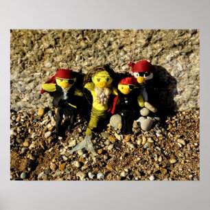 Póster Danni la sirena y el Poster de los Piratas