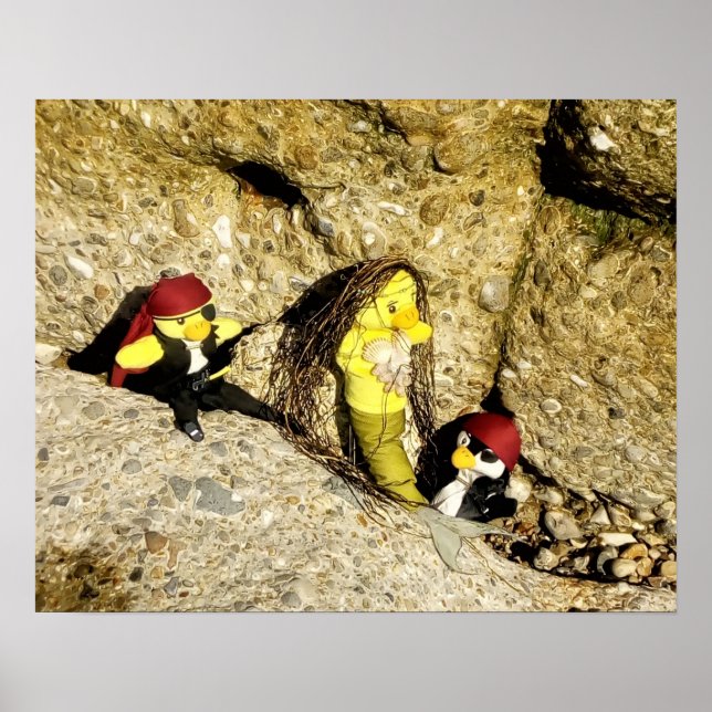 Póster Danni the Mermaid and Pirates Poster (Frente)