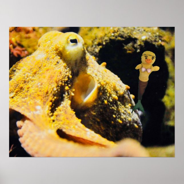 Póster Danni the Mermaid  Poster (Frente)