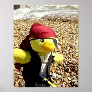 Póster Danny Duck el Pirata