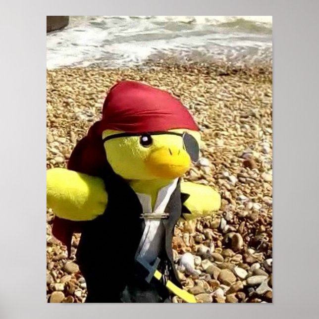 Póster Danny Duck el Pirata (Frente)