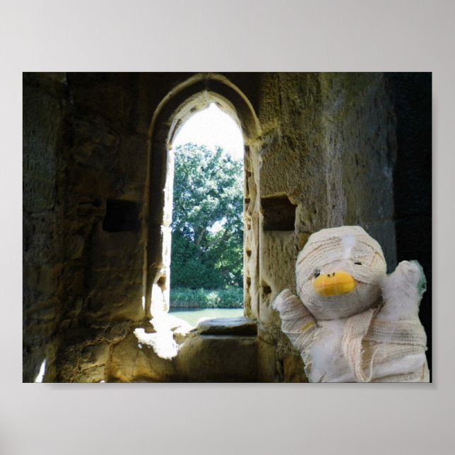 Póster Danny Duck la momia (Frente)