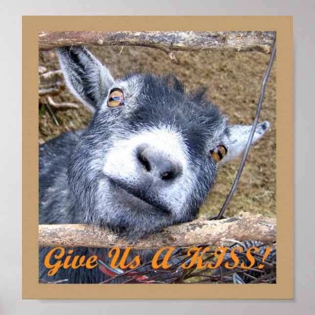 Póster ¡Danos Un Beso! (Frente)