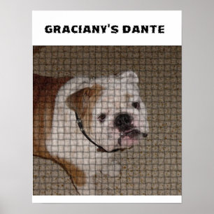 Póster Dante Weaved