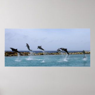 Póster Danza de delfines