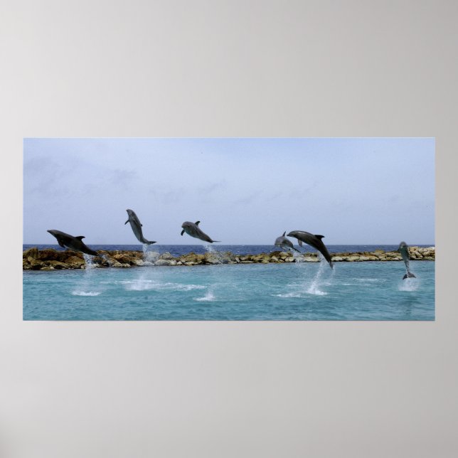 Póster Danza de delfines (Frente)