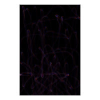 Danza de Dimensiones