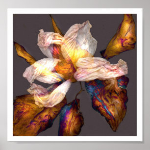 Póster Danza de la flor