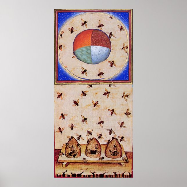 PÓSTER DANZA DE LAS ABEJAS DE MIEL CON CUATRO ELEMENTOS (Frente)