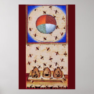 PÓSTER DANZA DE LAS ABEJAS DE MIEL CON CUATRO ELEMENTOS