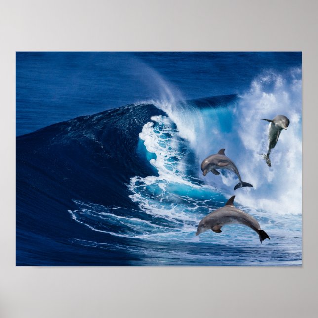 Póster Danza de los delfines (Frente)