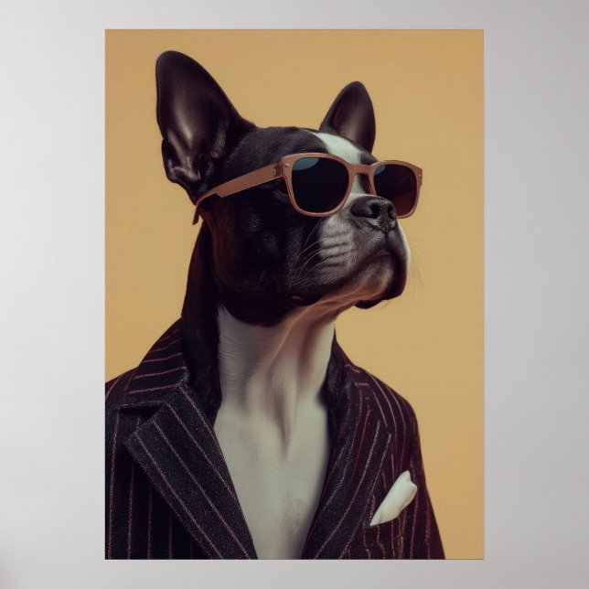 Póster Dapper Boston Terrier Dog with Sunglasses (Frente)