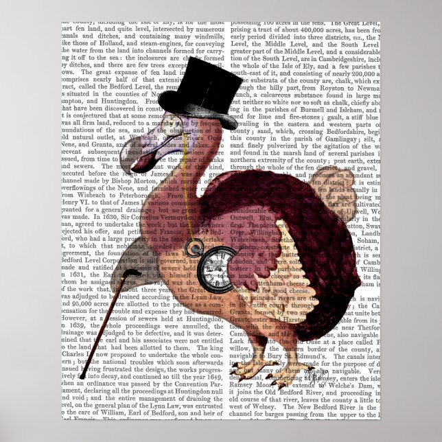 Póster Dapper Dodo (Frente)