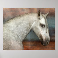Dapple Gray Andalusian Horse Portrait