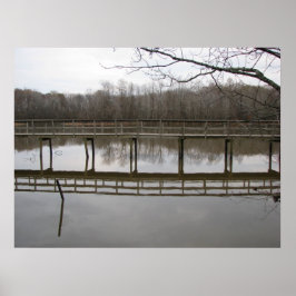 Póster dar un paseo