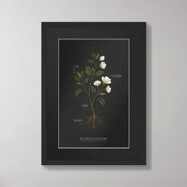 Póster Dark Academia Botanical Anatomy Poster