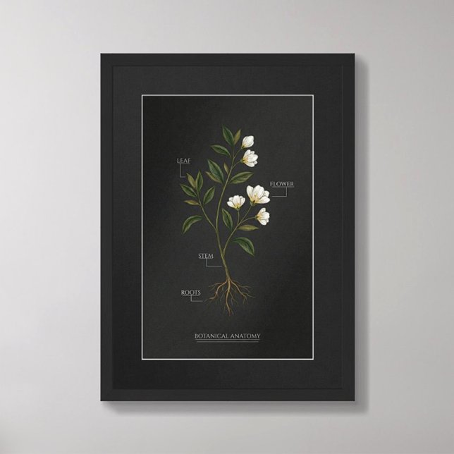 Póster Dark Academia Botanical Anatomy Poster (Subido por el creador)
