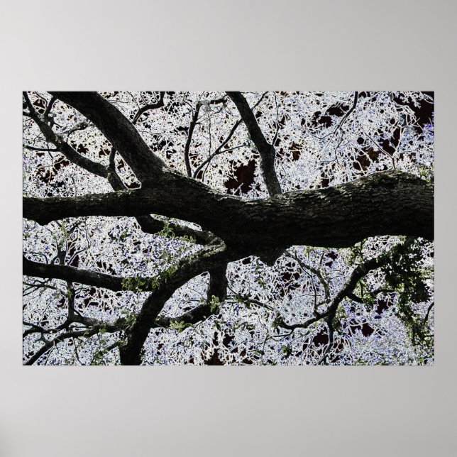 Póster Dark Art Tree Branches de J.W. Fatherree. (Frente)