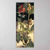 Dark Nature Scene by Vision Studio