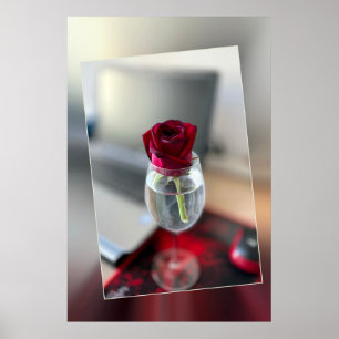 Póster Dark red rose
