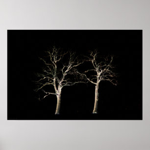 Póster Dark Side 9 wapcn