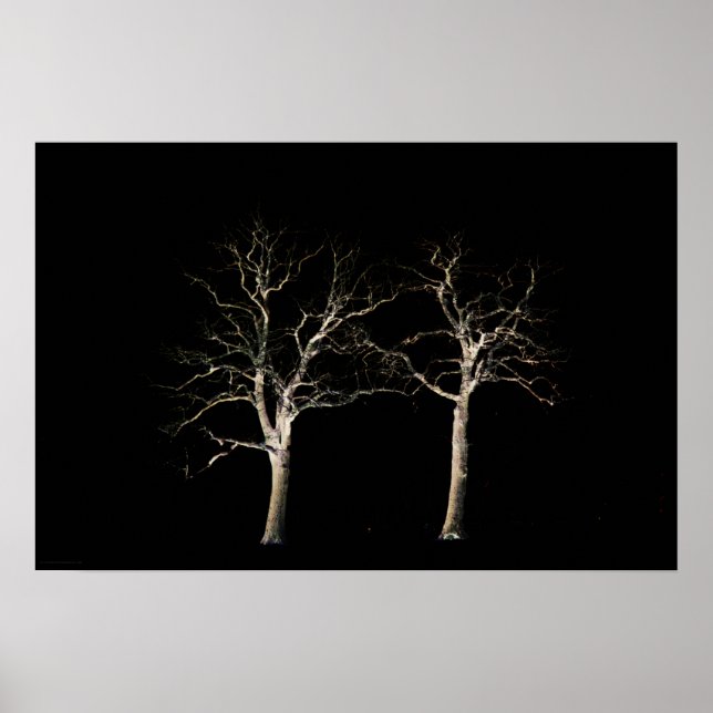 Póster Dark Side 9 wapcn (Frente)