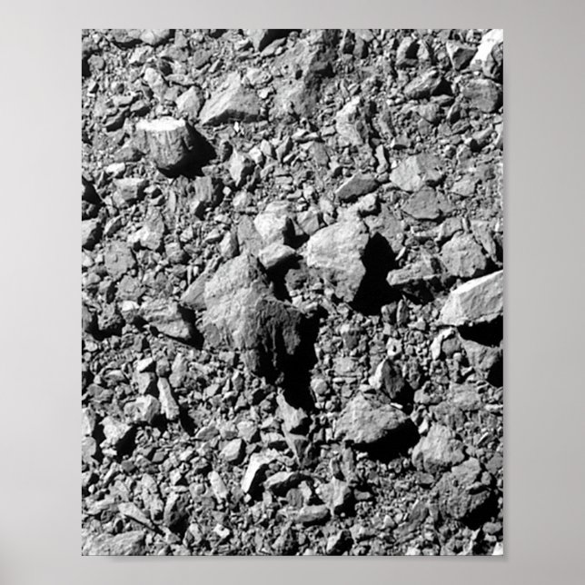 Póster DART Dimorfo Asteroide Moonlet Surface (Frente)