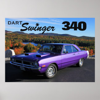 Póster Dart Swinger 340