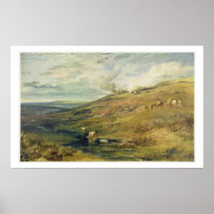 Póster Dartmoor: La fuente de Tamar y del Torridge