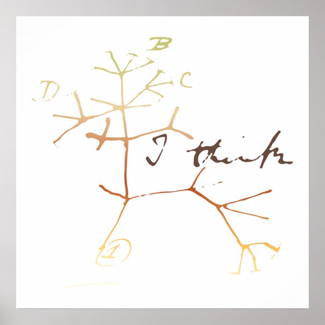 Póster Darwin, pienso en un árbol de la vida (Frente)