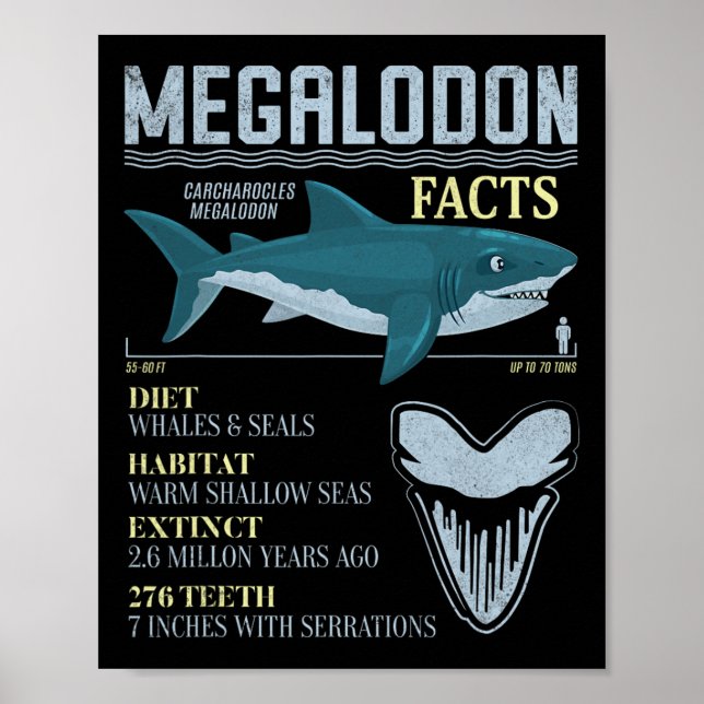 Póster Datos de Megalodon Diente de Tiburón Prehistórico  (Frente)