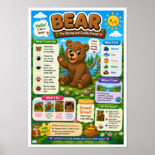 Póster Datos Divertidos Sobre Osos Para Niños