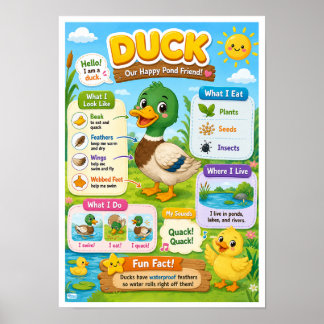 Póster Datos divertidos sobre patos para niños