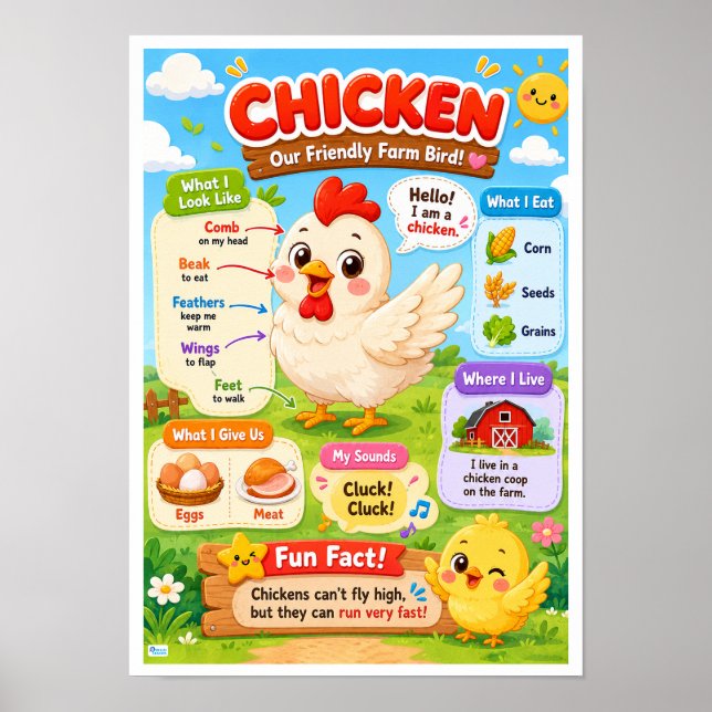 Póster Datos Divertidos Sobre Pollos Para Niños (Frente)
