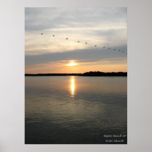 Póster Daufuskie Bound