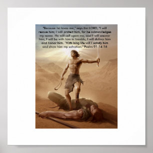 Póster David and Goliath cerca: David Gudishvili