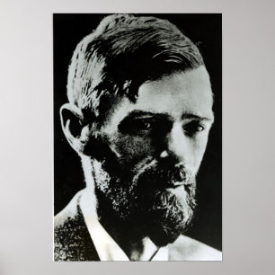 Póster David Herbert Lawrence