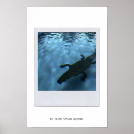 Póster DAVID'S POOL SERIES p05b Poster