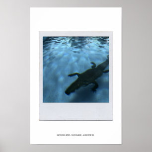 Póster DAVID'S POOL SERIES p05b Poster