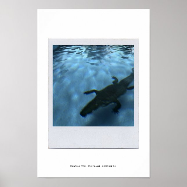 Póster DAVID'S POOL SERIES p05b Poster (Frente)