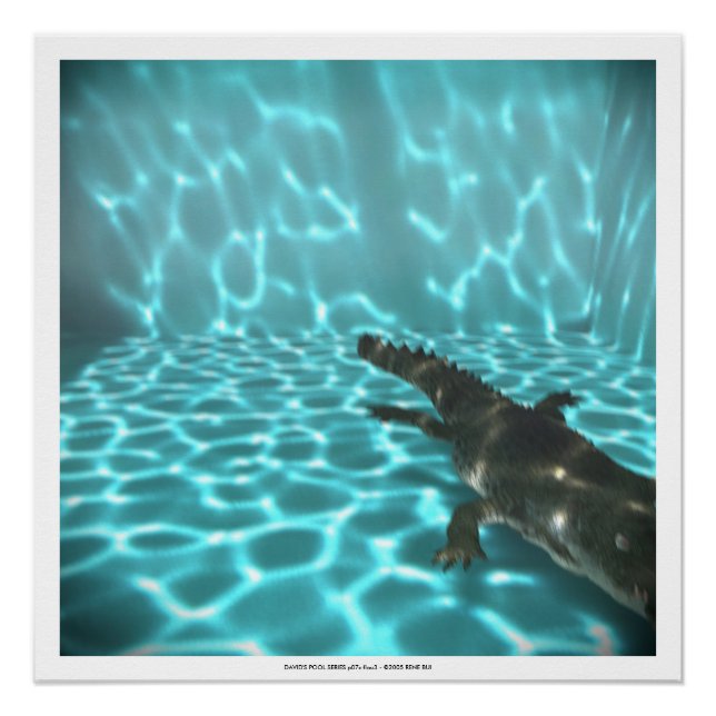 Póster DAVID'S POOL SERIES p07c flou3- 3D Computer ART (Anverso)
