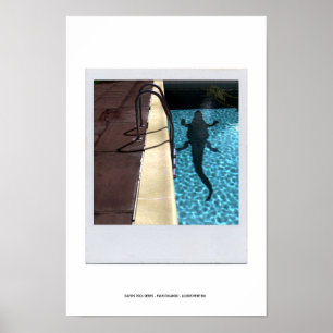 Póster DAVID'S POOL SERIES p08b
