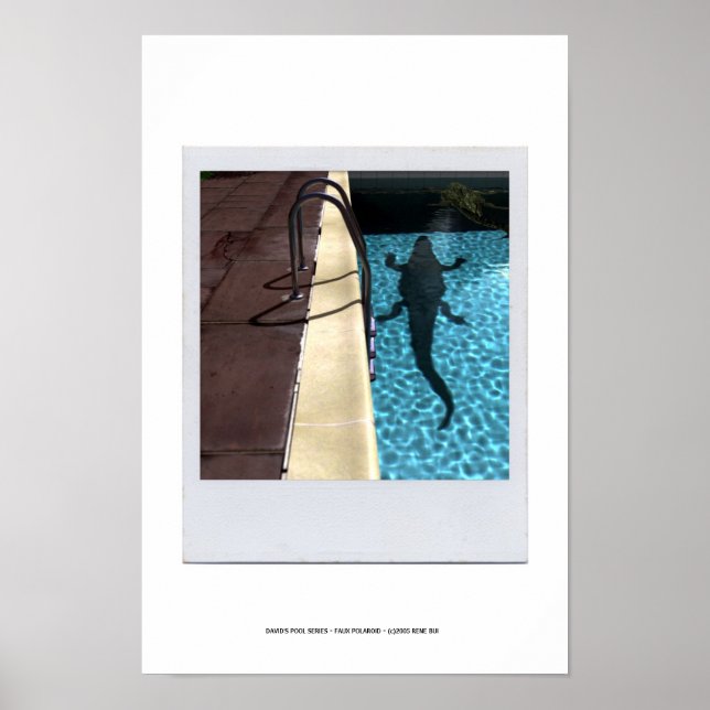 Póster DAVID'S POOL SERIES p08b (Frente)