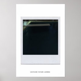 Póster DAVID'S POOL SERIES p09c Poster