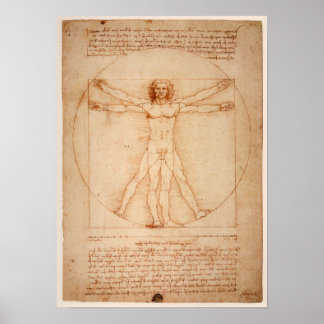 Póster DaVinci Man